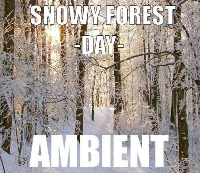Ambient track - Snowy Forest : Day