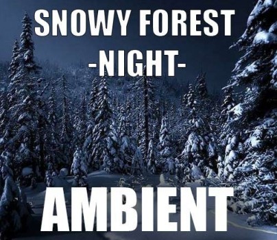 Ambient track - Snowy Forest : Night