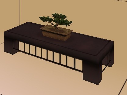 Bonsai on a table
