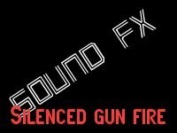 Silenced Gun Fire