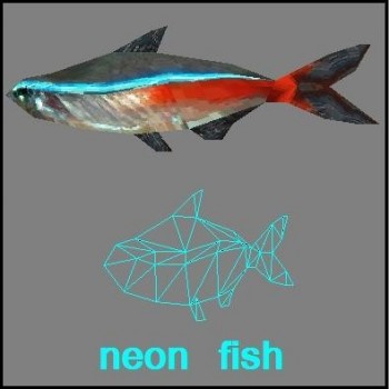 Small neon fish
